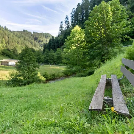 Haus Baechle * Oppenau